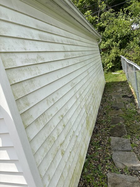 House siding before washing - mold and algae