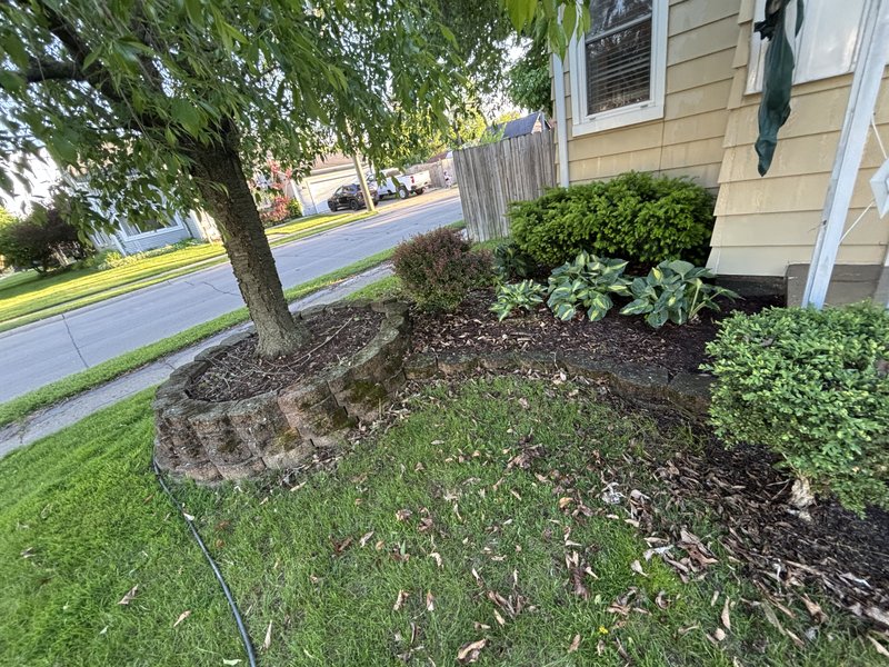 Landscaping before - old retaining wall