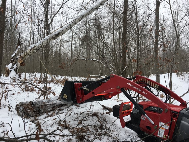 Landscaping and land clearing